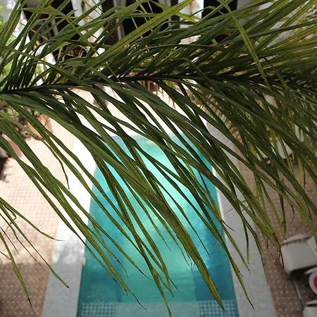 Riad Assouel مراكش المظهر الخارجي الصورة